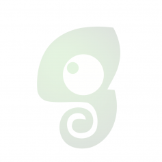 Digital Offset Printing 230gsm Ivory White Card Business Card